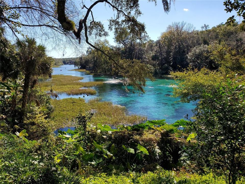 State Park at head of Rainbow River