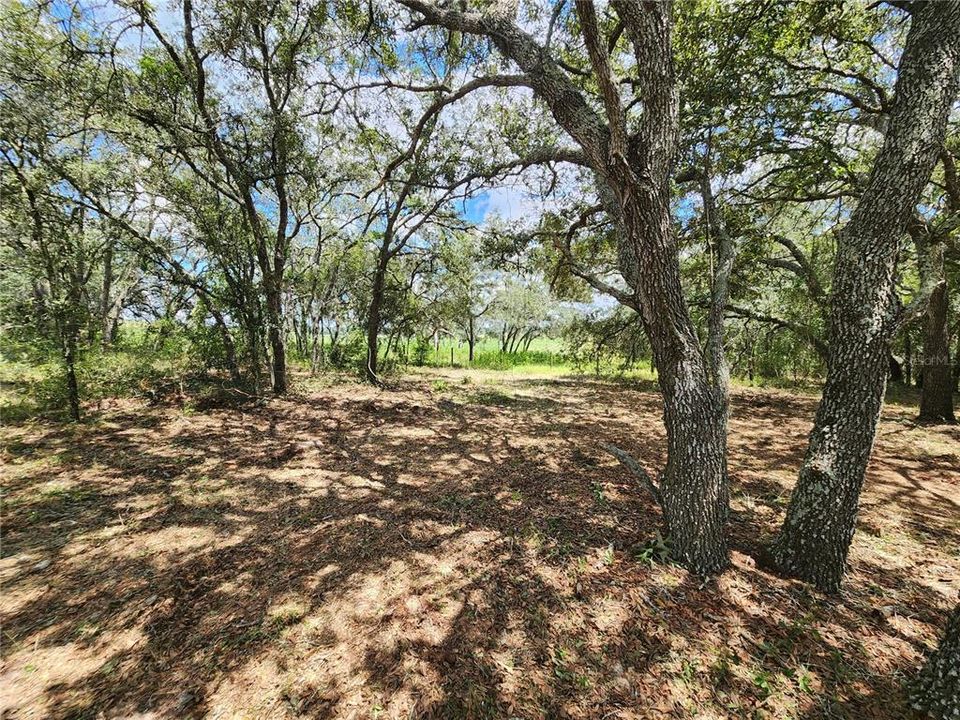 For Sale: $35,900 (1.04 acres)