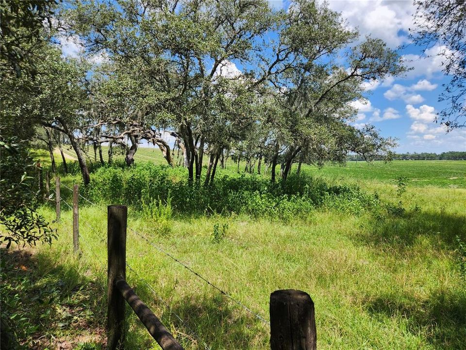 BACK PART OF THE LOT OVERLOOKS THE FARM