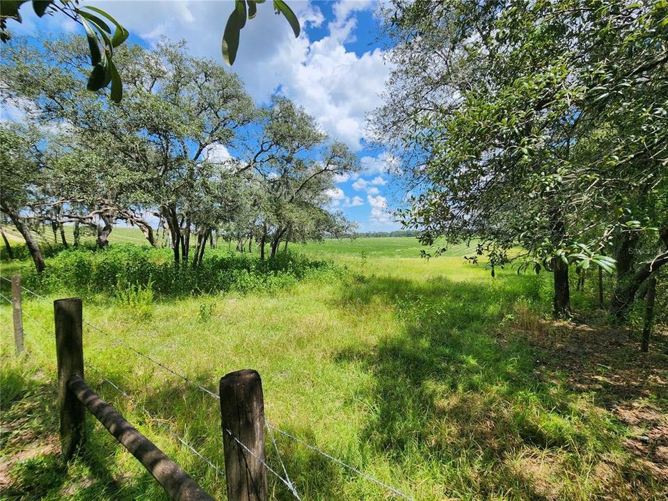 待售: $35,900 (1.04 acres)