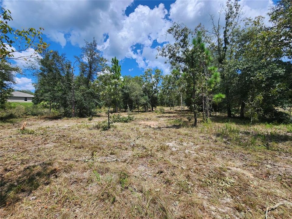 For Sale: $35,900 (1.04 acres)