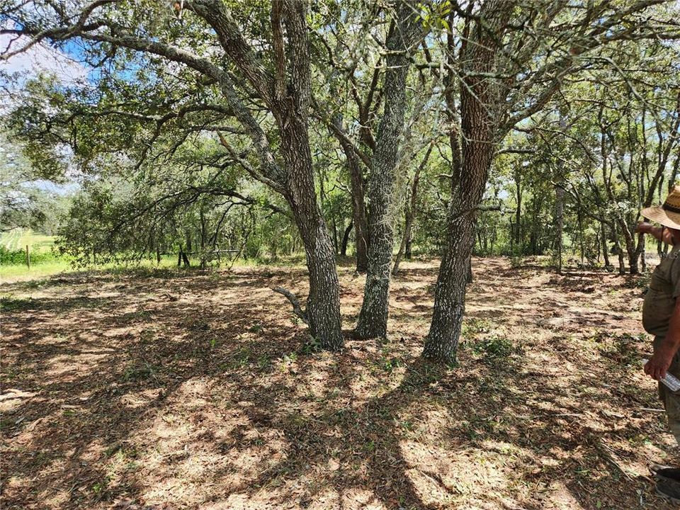 For Sale: $35,900 (1.04 acres)