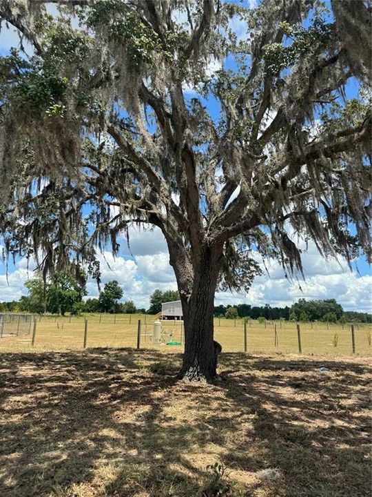 На продажу: $39,000 (1.25 acres)