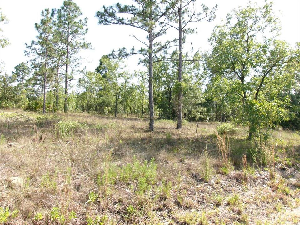 Active With Contract: $24,900 (0.99 acres)