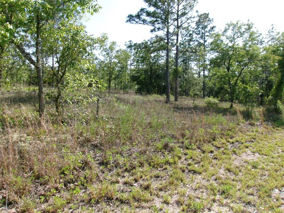 Active With Contract: $24,900 (0.99 acres)