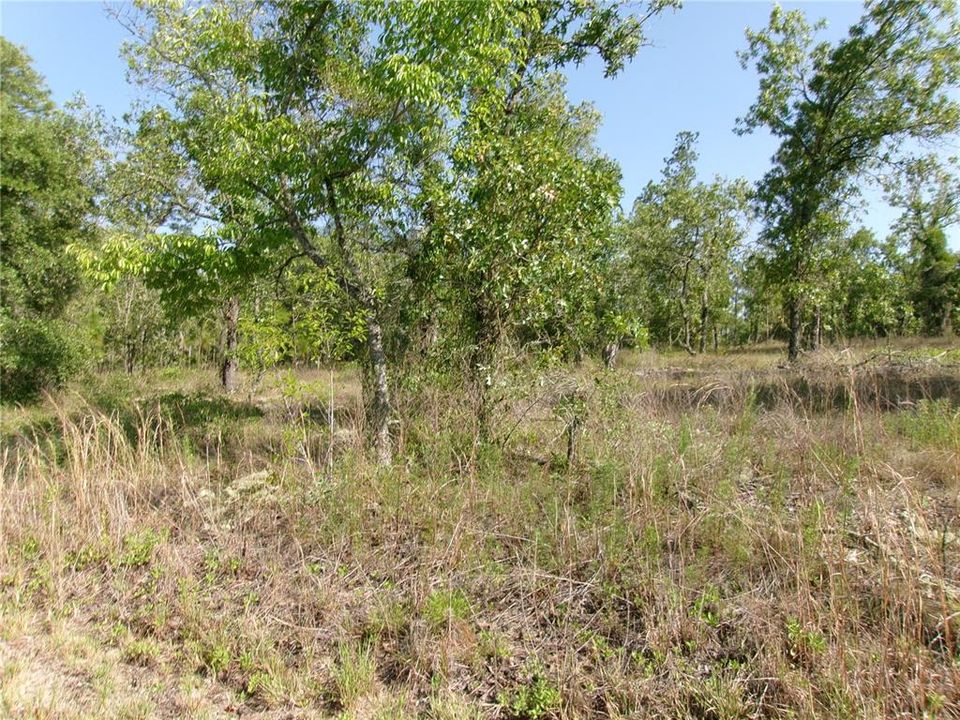 Active With Contract: $24,900 (0.99 acres)