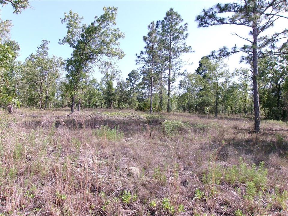 Active With Contract: $24,900 (0.99 acres)