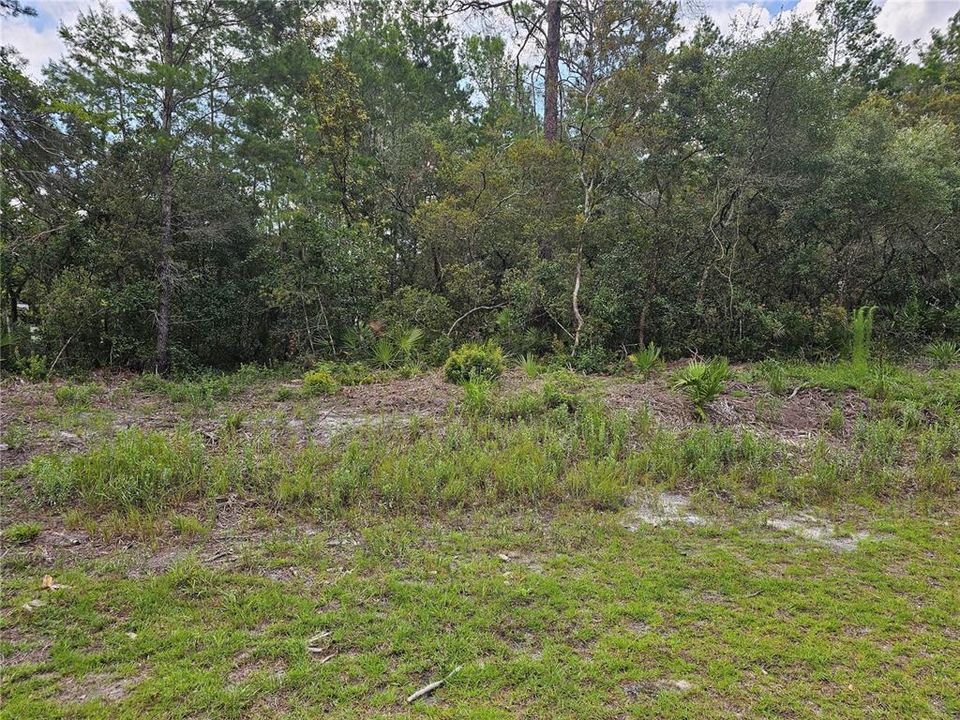 Front of lot - Looking East toward middle of lot