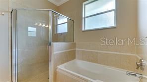 Primary Bathtub and Shower