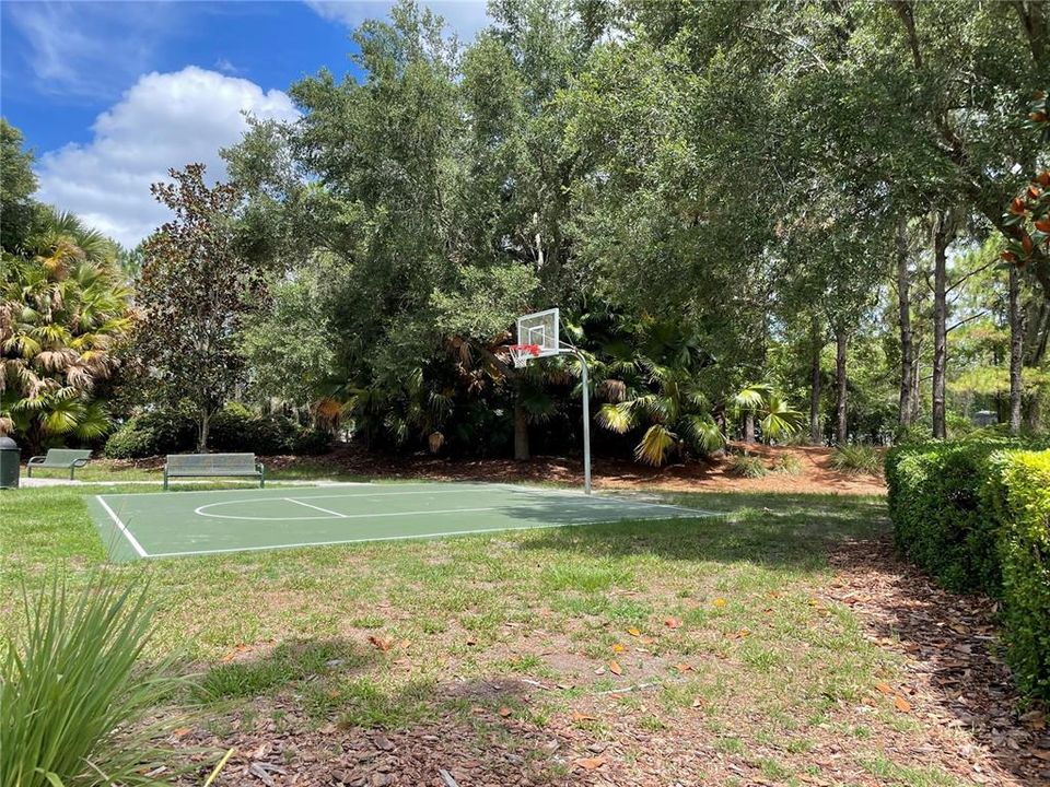 This separate Basketball Court is located inside Lakeside Village subdivision (Other Basketball Courts are by the Clubhouse)