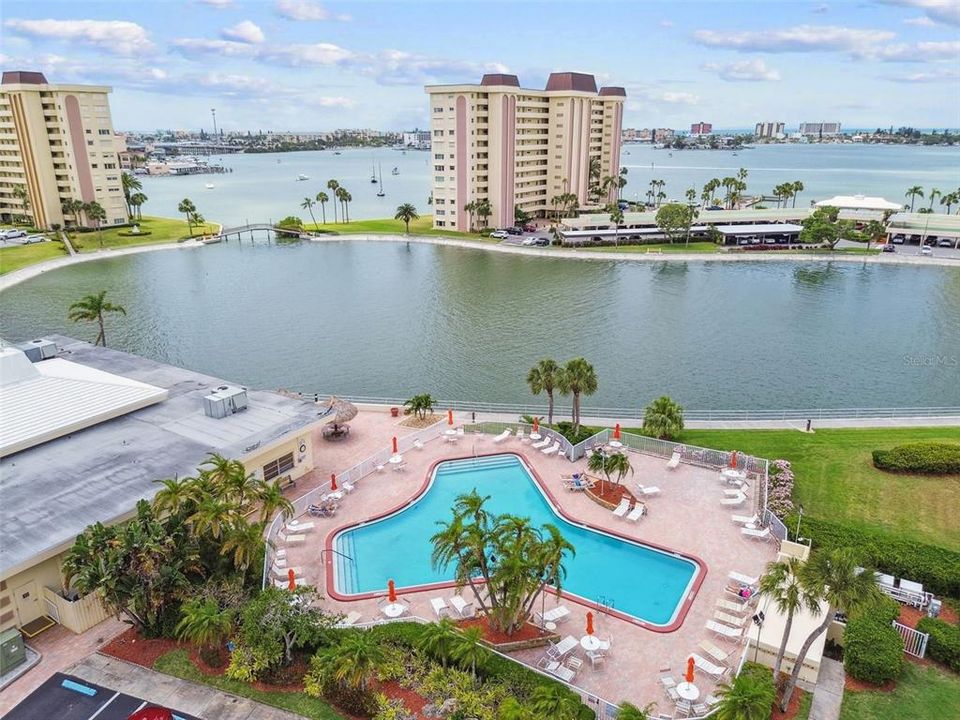 Walk along the lagoon and see the Manatee's