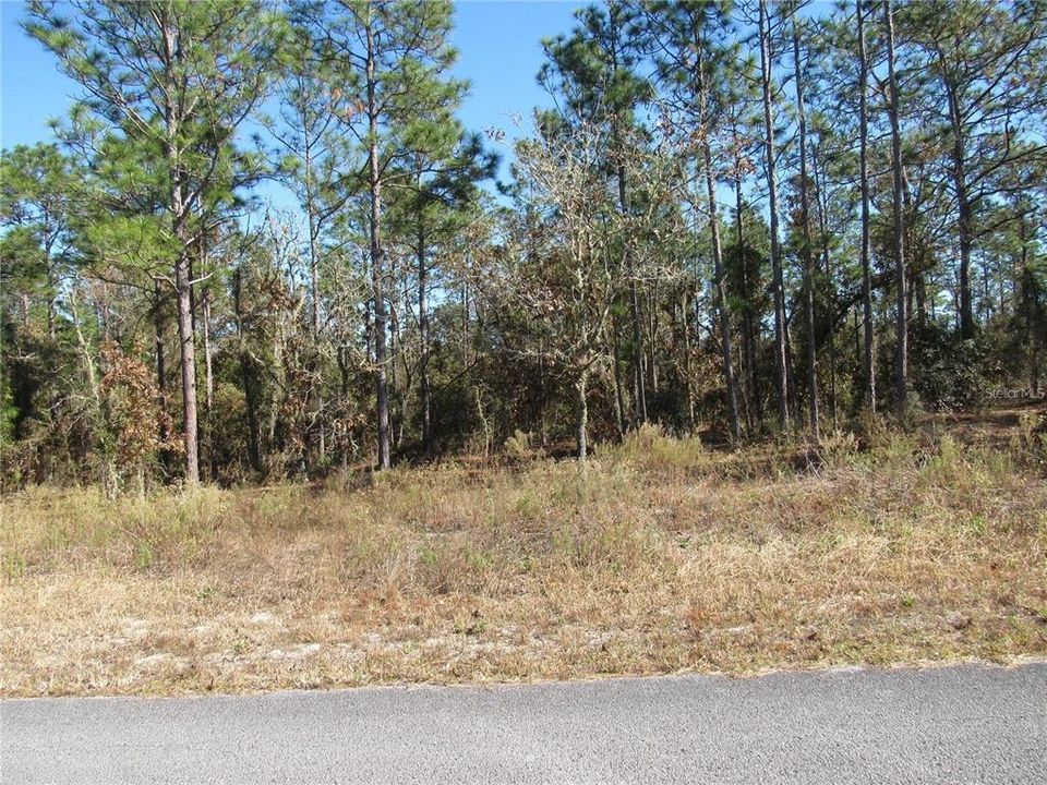 This Lovely Property Is Just Minutes To Historic Dunnellon's Town Square Built Built Around The Famous Rainbow and Withlacoochee Rivers!