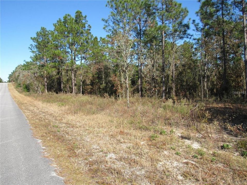 One-Acre (.99) New Build Site Where You Feel Like You Are In the Country But Have All The Conveniences Right Around You..From 10 Minutes To 40 Minutes. There's Dunnellon (Town Square), Inverness, Crystal River, Ocala and Gainesville For Everything that You Could Want!!