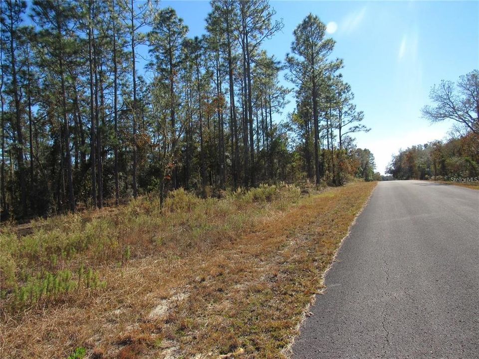 Gorgeous One-Acre Wooded New Build Site Located On Sands PT Ave in Rainbow Lakes Estates an Established Popular Community In Dunnellon, FL...Don't Miss This Beautiful Opportunity For Your Future Florida Dream Home!!