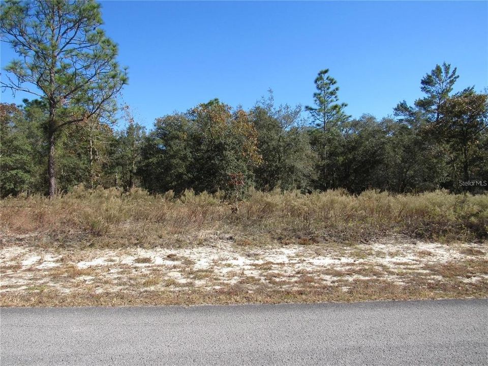 One- Acre (.99) New Construction Site Or Just Hang On to It..High and Dry Elevated Wooded Build Site..Don't Miss This One!!