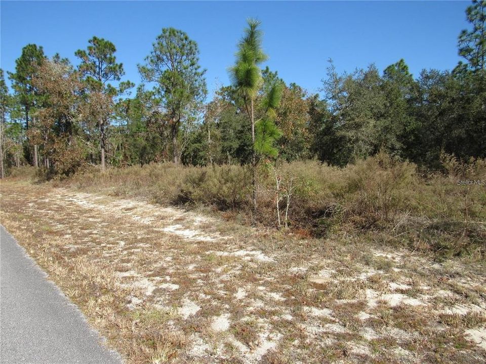 Just Minutes To The Rainbow and Withlacoochee Rivers and Famous Lake Rousseau Where Fishing Is a Pleasure! Conveniently Located To Dunnellon, Inverness, Crystal River, Ocala & Gainesville.