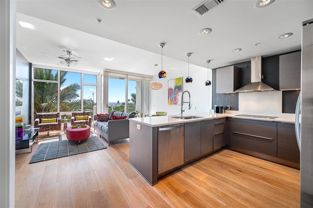 KITCHEN AND LIVING AREA