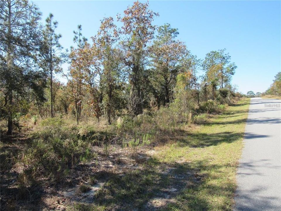 Premier One- Acre (.99) New Build Site Level & Dry Located In Lovely Rainbow Lakes Estates, An Established Community With New Areas. Just Minutes To Dunnellon's Town Square, Homer Of The World Famous Rainbow and Withlacoochee Rivers!