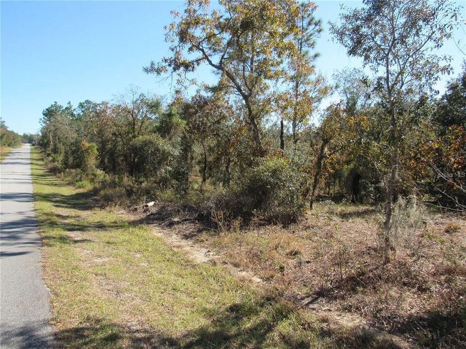 Don't Miss This Opportunity To Purchase This Beautiful One-Acre (.99) Property For Your Future Florida Dream Home In Rainbow Lakes Estates, Marion County Fl!