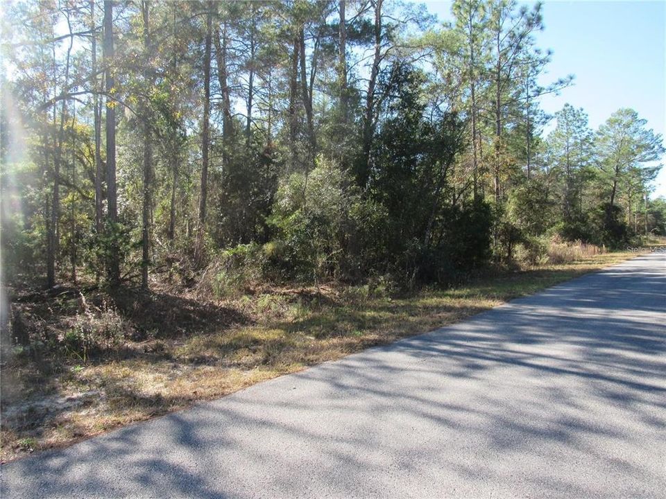 Build Your Florida Dream Home On This Unique Property!..Beautifully Wooded One-Acre (.99) Future Home Site In Dunnellon, Florida!