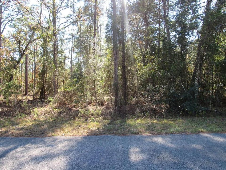 Located On Paved Road In Lovely Rainbow Lakes Estates In Dunnellon, FL..Just 25 Minutes To The New World Equestrian Center In Ocala!