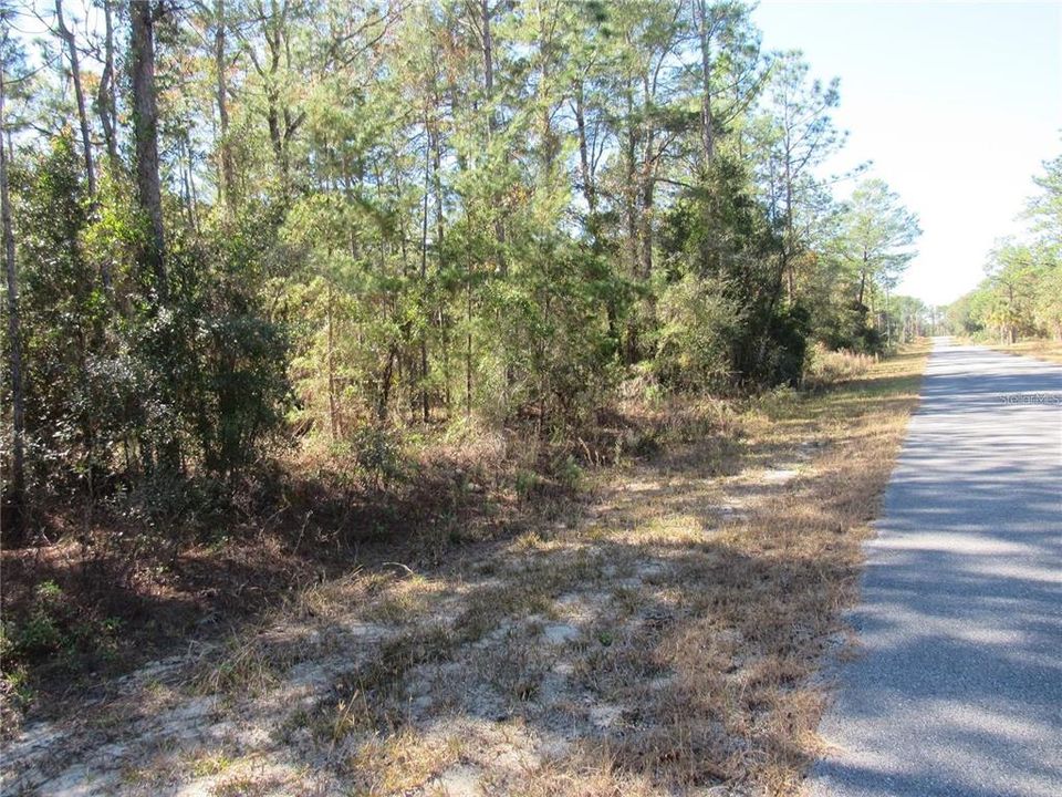 One-Acre (.99) New Build Site Located In Lovely and Established Rainbow Lakes Estates In Dunnellon, FL Conveniently Located To Inverness, Crystal River, Williston, Ocala and Gainesville.