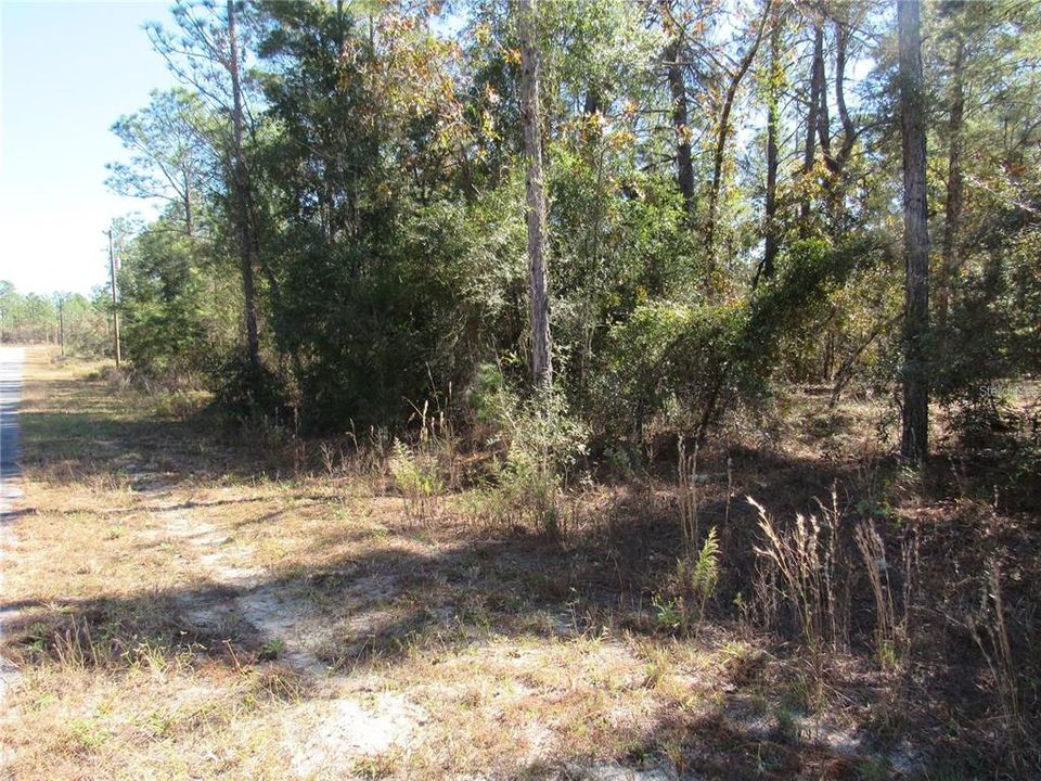 Available Now..One-Acre (.99) New Construction Site In Lovely Rainbow Lakes Estates In Dunnellon, FL.