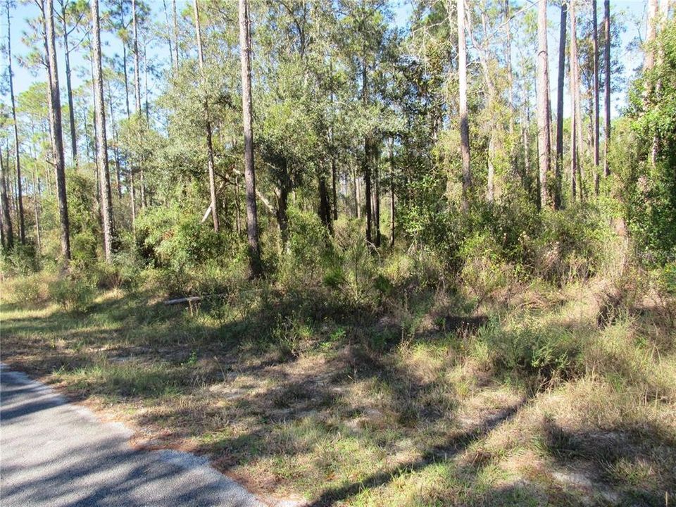 This Gorgeous One-Acre (.99) New Build Site Is Nicely Elevated..Don't Miss This One!..Build Your New Florida Dream Home Now Or Just Hang On To It!!