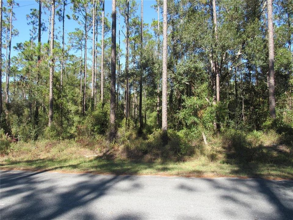 Your Spectacular Future New Build Home Setting!!..One Acre (.99) Located In Rainbow Lakes Estates Just Minutes From Dunnellon's Town Square Built Around The Famous Rainbow and Withlacoochee Rivers!!