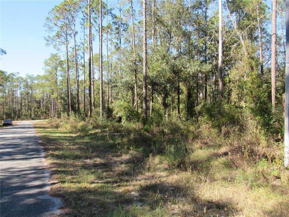 Beautiful One-Acre (.99) New Build Site Or Purchase For Investment. This Magnificent Property Is Located On SW Nautilus Blvd. In Lovely Rainbow Lakes Estates In Dunnellon, FL,