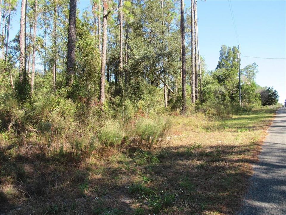 Enjoy The True Feeling Of Country Living but Surrounded By All the Conveniences..Located 10-45 Minutes To Dunnellon, Inverness, Crystal River, Ocala & Gainesville! This Amazing New Build Site is Only 25 Minutes To The New World Equestrian Center In Ocala.