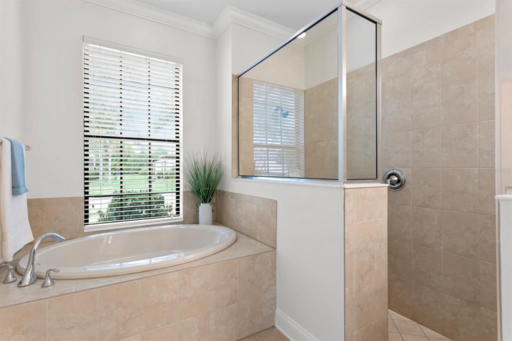 Large soaking tub and walk-in shower in the primary bath