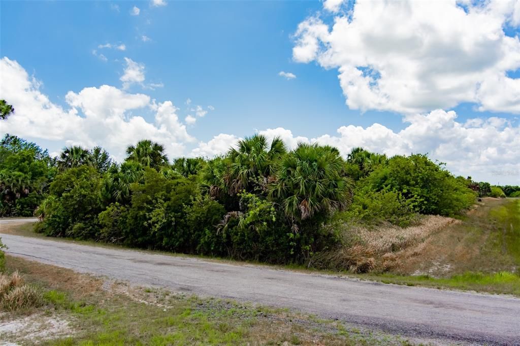 En Venta: $44,900 (0.30 acres)