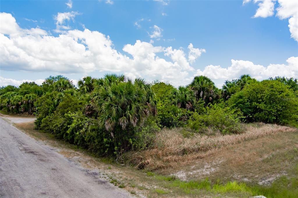 En Venta: $44,900 (0.30 acres)