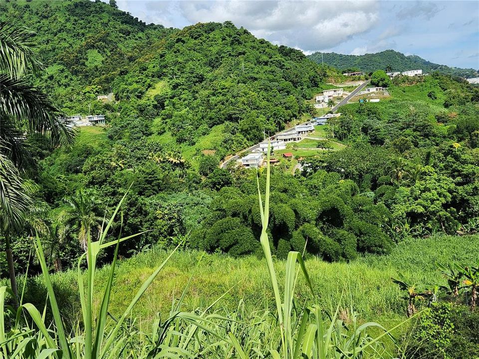 待售: $75,000 (1.95 acres)