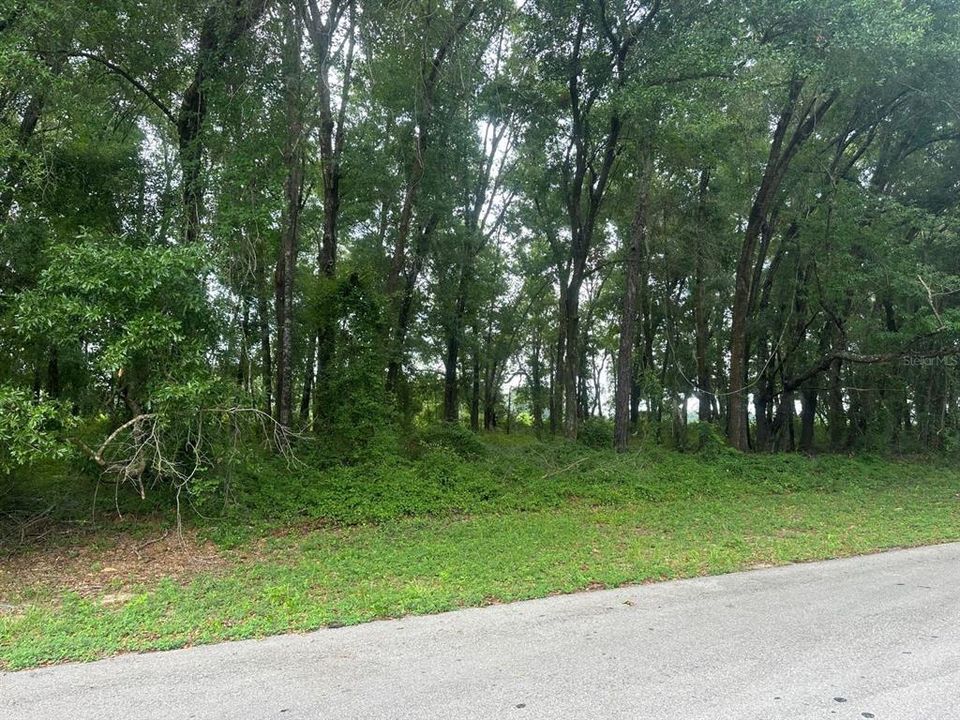 En Venta: $55,000 (0.23 acres)