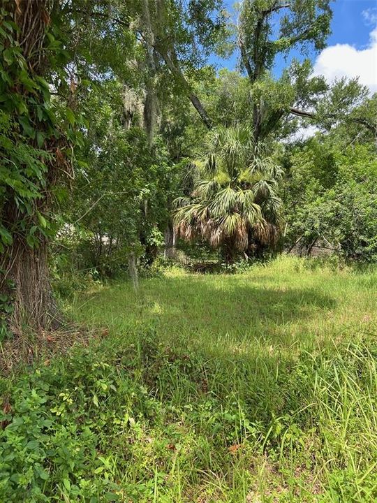 Vendido Recientemente: $53,800 (0.14 acres)