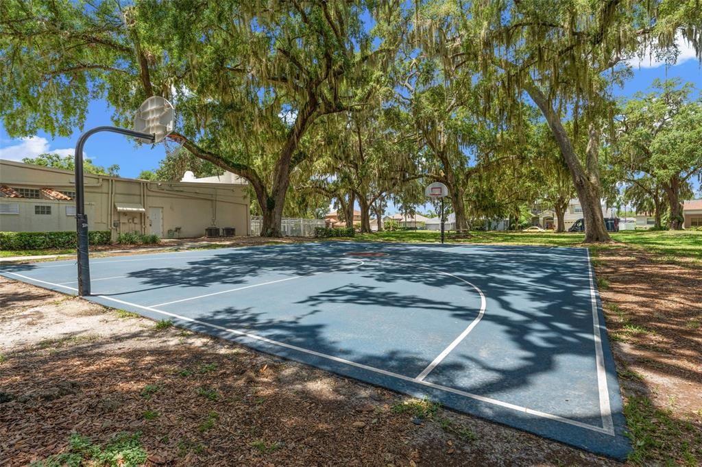 Basketball Court