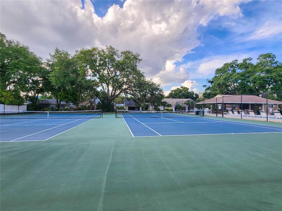 Pickleball Court