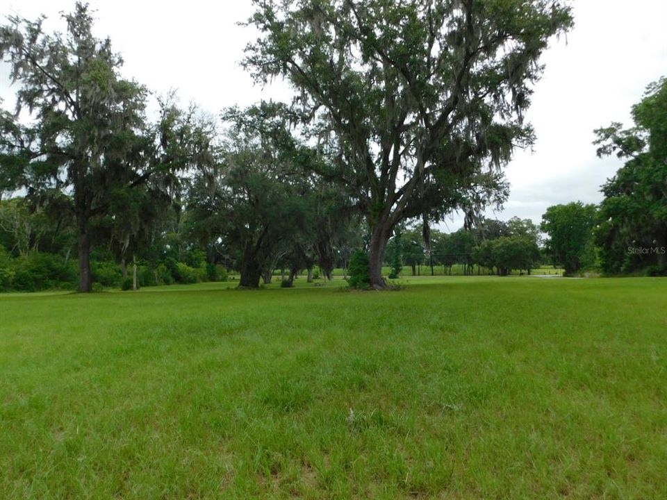 Improved pasture, ready to build