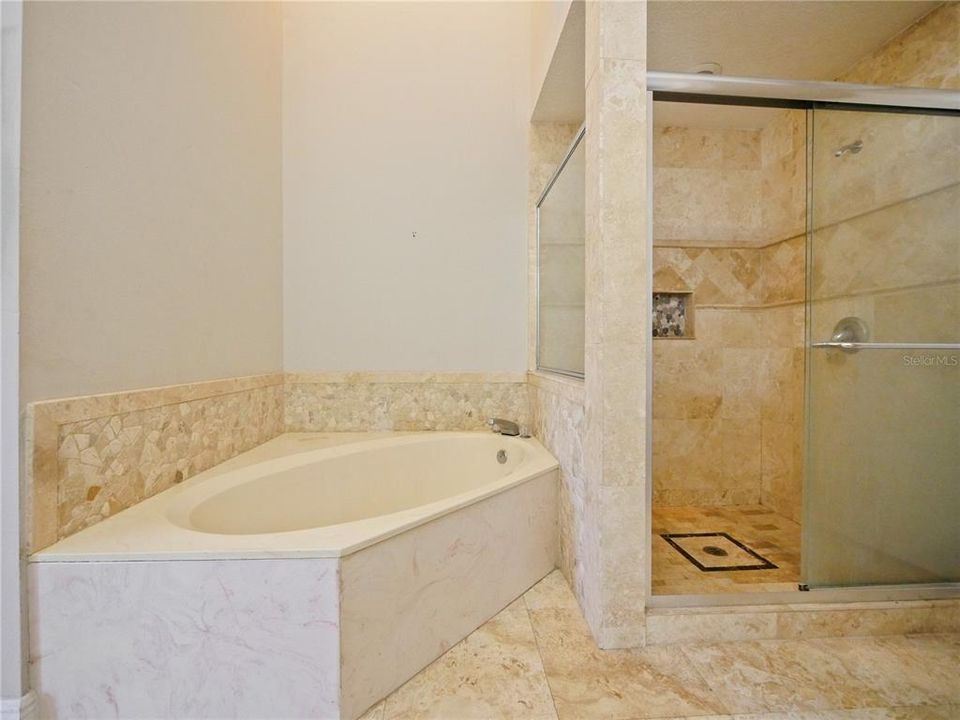 Bathtub and Walk In shower