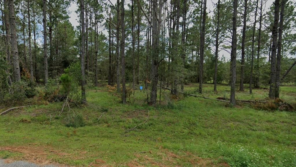 For Sale: $29,999 (1.00 acres)