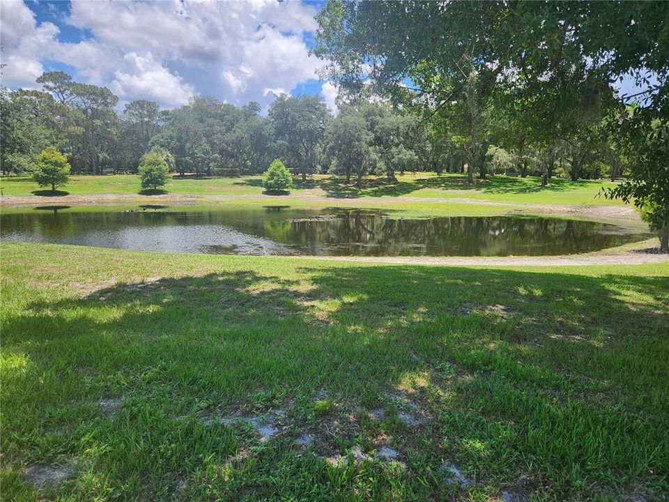 Pond across the street