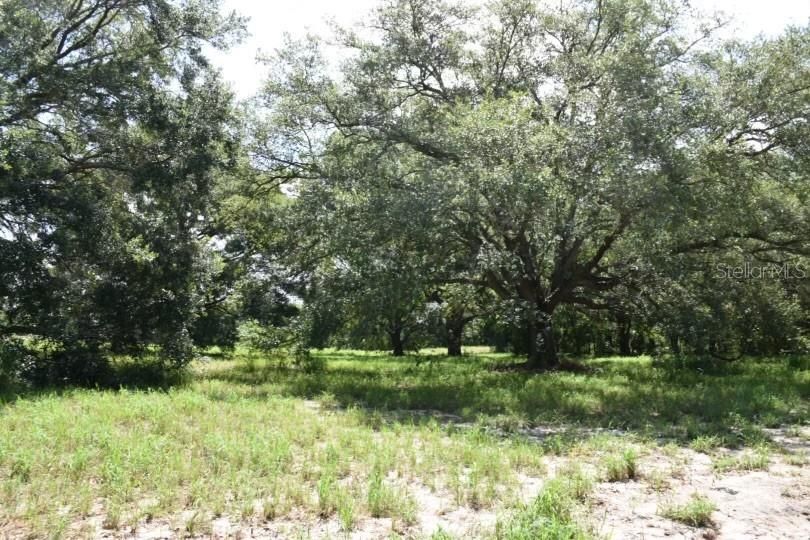 For Sale: $1,799,000 (17.23 acres)