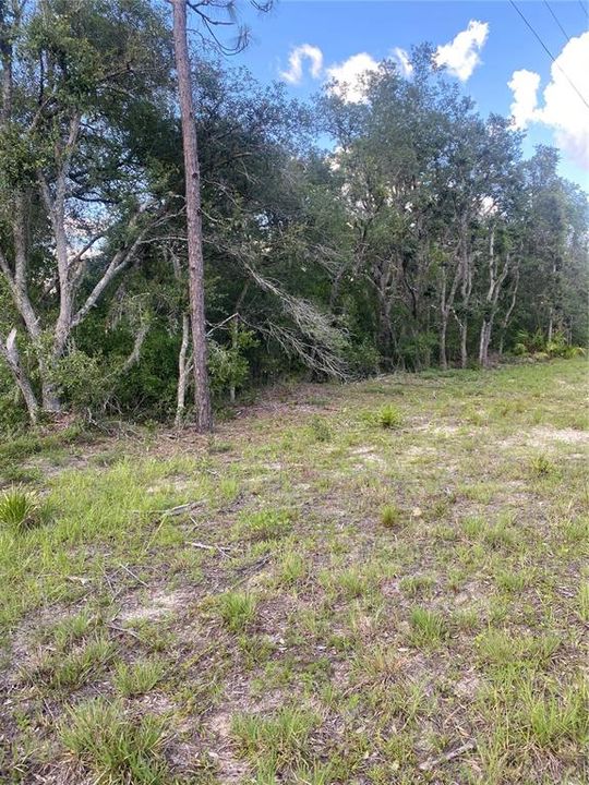 For Sale: $28,000 (1.25 acres)