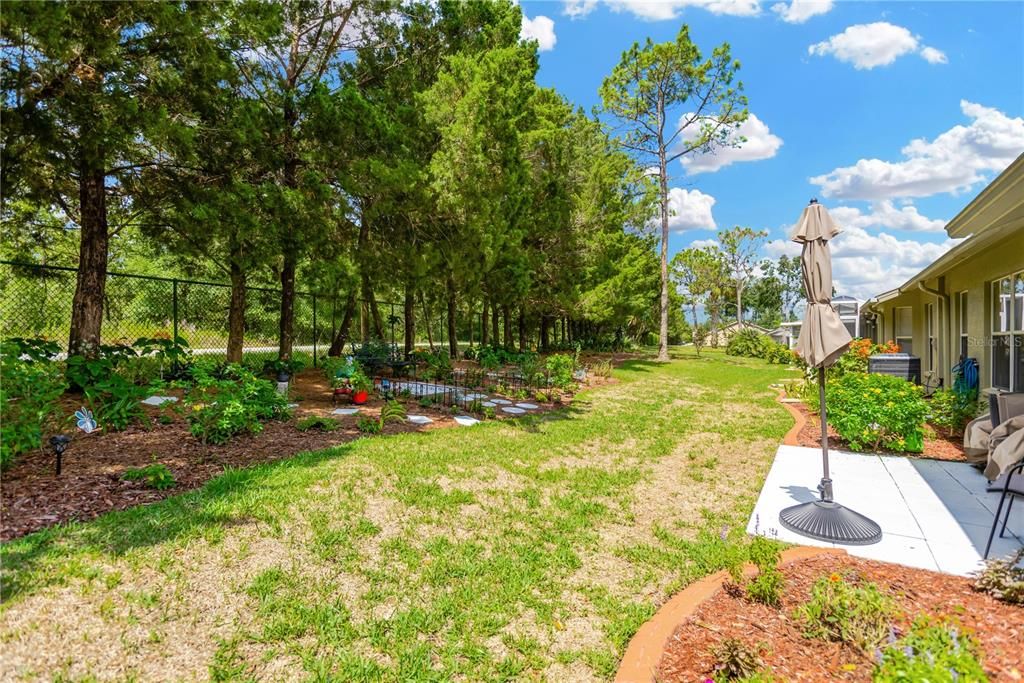 Picturesque Backyard with Butterfly Garden