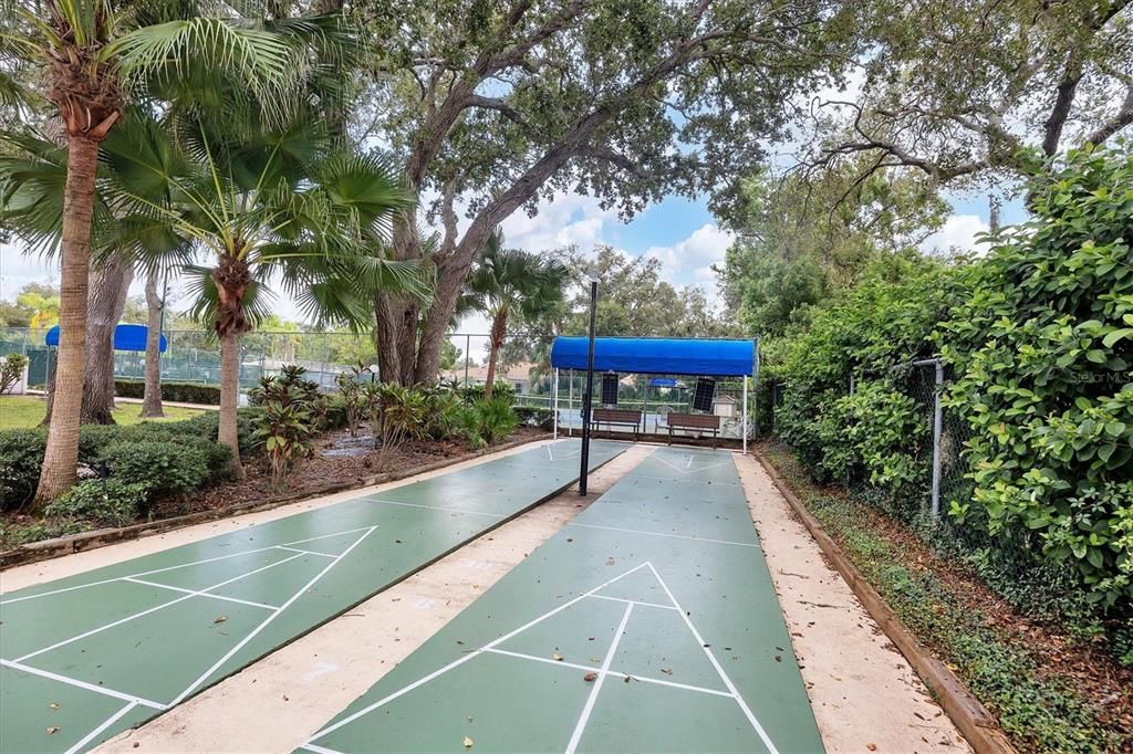 Shuffleboard courts