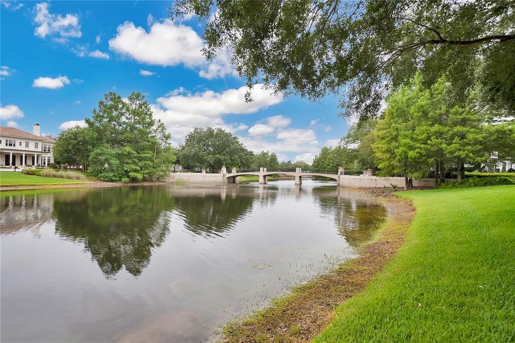 Pond View