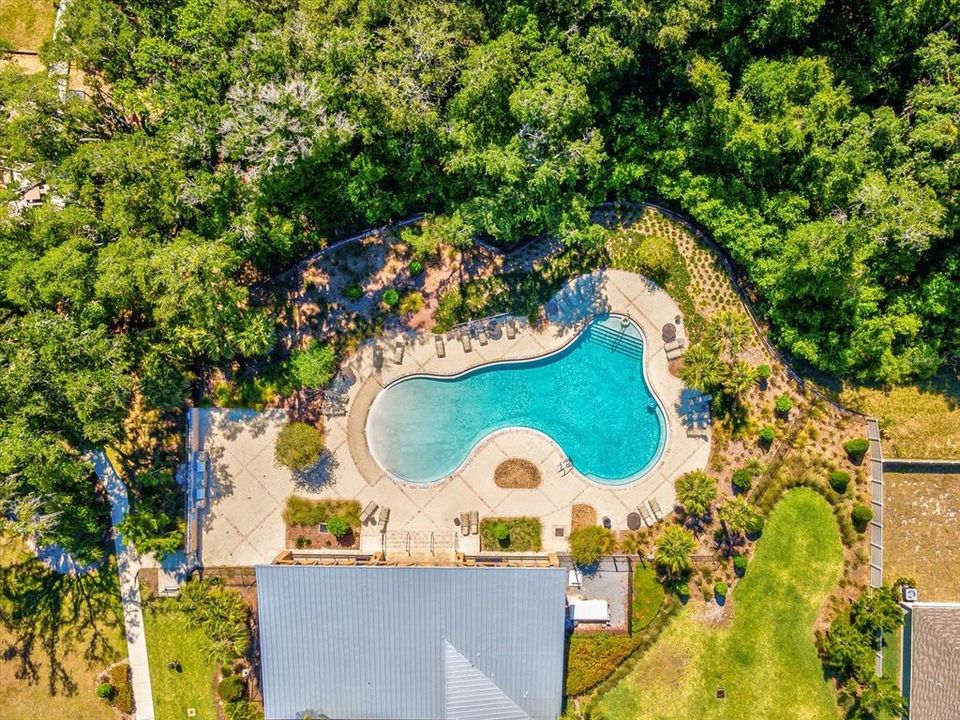 Aerial view of the community pool and pavilion areas