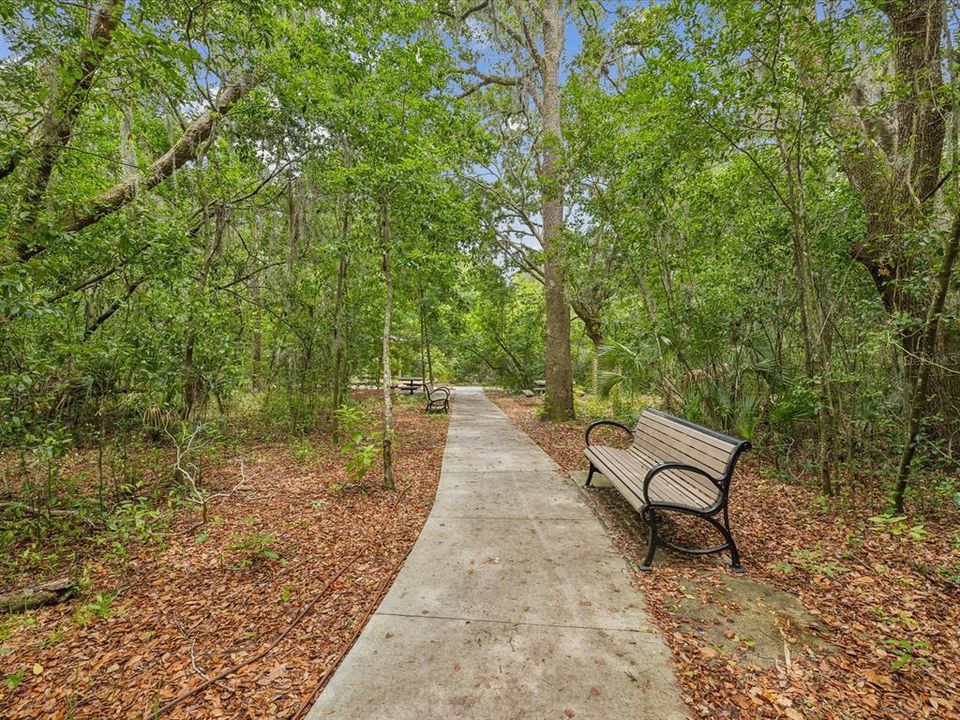 View of the nature path that takes you out to an observation dock looking at the Anclote River
